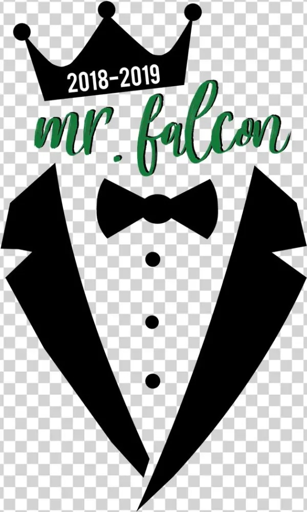 Mr Falcon