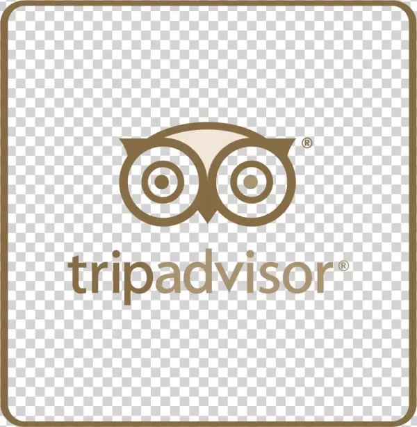 Trip Advisor Facebook - Owl