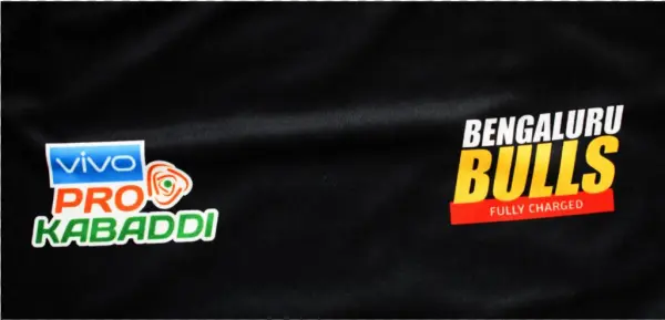 Bengaluru Bulls