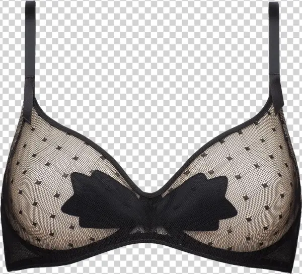 Brassiere