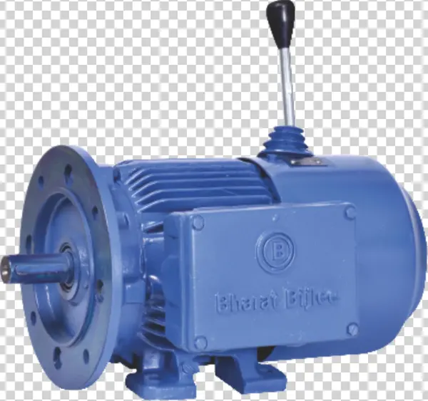 Crane & Hoist Application Motors