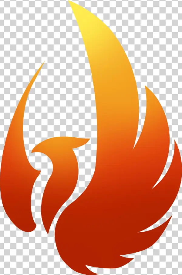 Phoenix World Trading Inc - Illustration