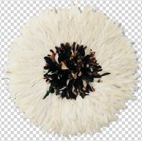 Pincushion Flower