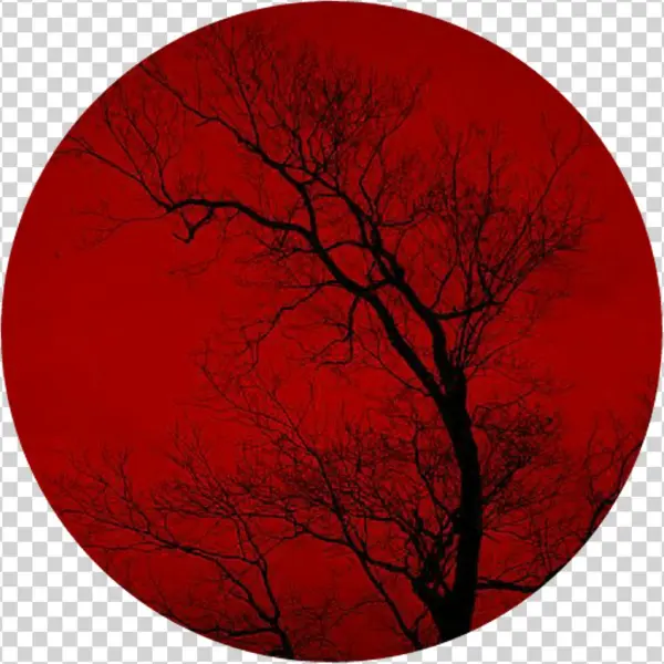 Red Sticker - Circle
