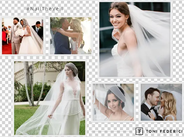 See The Entire Collection → - Veil