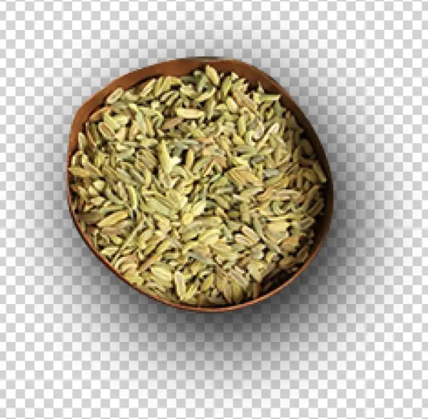 Seeds - Dinkel Wheat