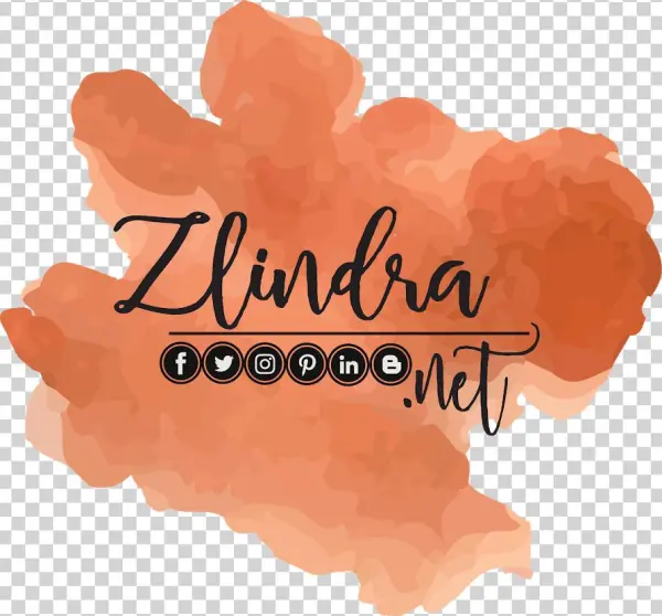 Zlindra - Net - Illustration