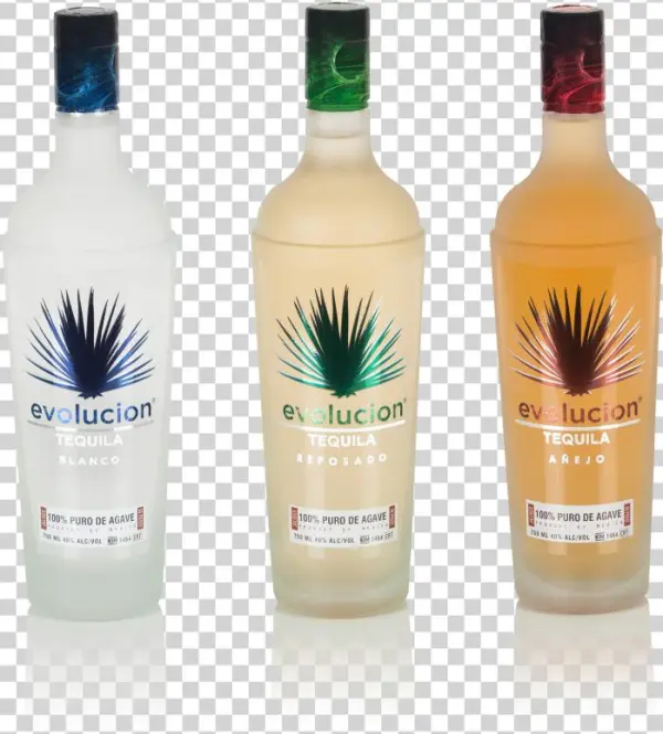 Agave Partners - Menta