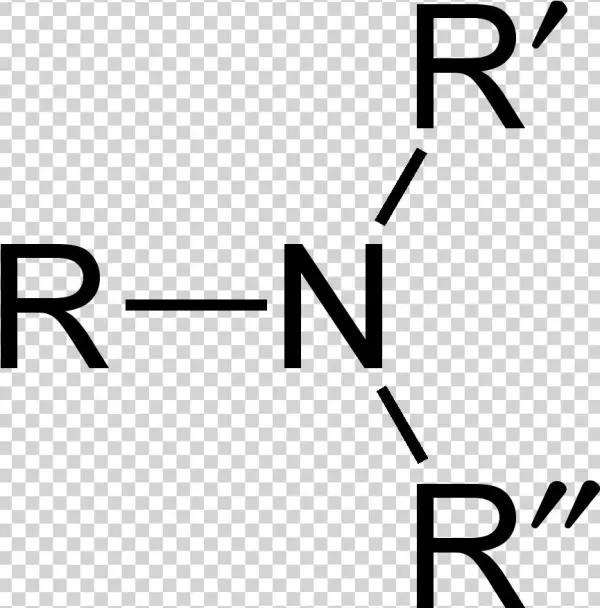 Amino Group Tertiary 2d Flat - Tertiary Amino Group
