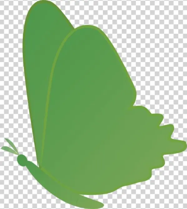 Butterfly Png