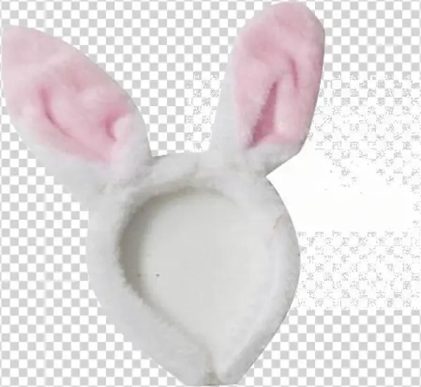 Domestic Rabbit