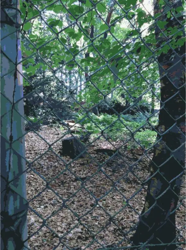 Fence Branching