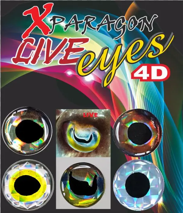 Live Eyes 4d - Circle