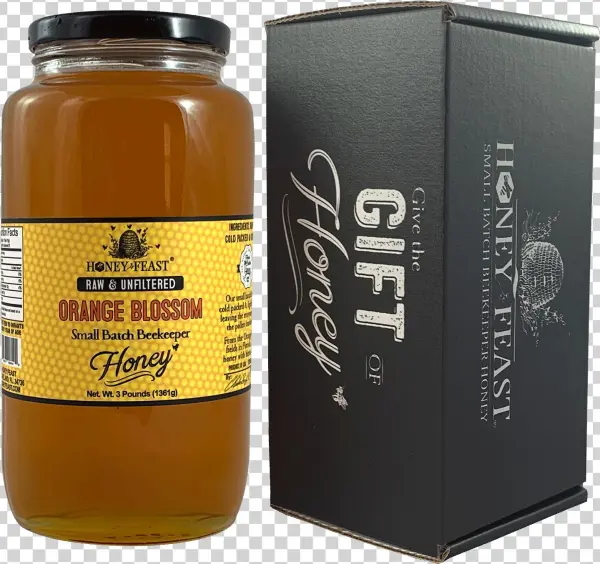 Orange Blossom Honey - Florida