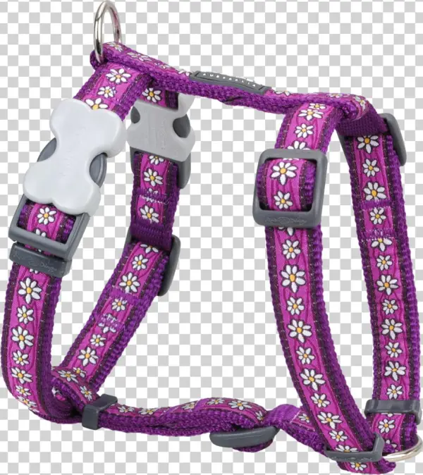 Orange Harness
