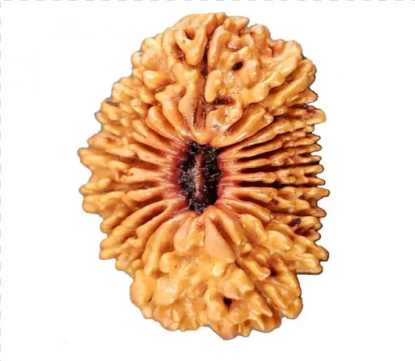 Pastry