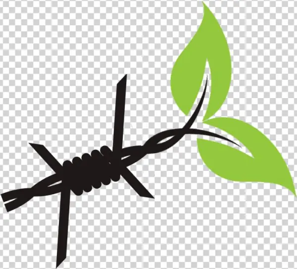 Research Teams - Insect