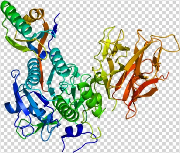 The Enzyme Proprotein Convertase Subtilisin Kexin Type - Bococizumab