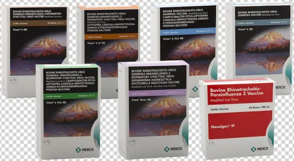 Vista® Vaccines - Tablet Computer