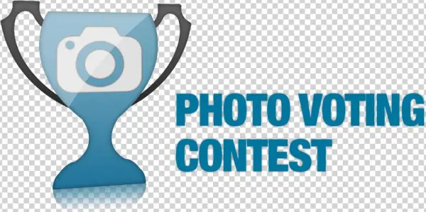 Voting Contest