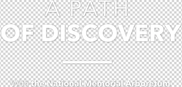 A Path Of Discovery With The National Memorium Arboretum - Keep Calm And Blame Sorcery