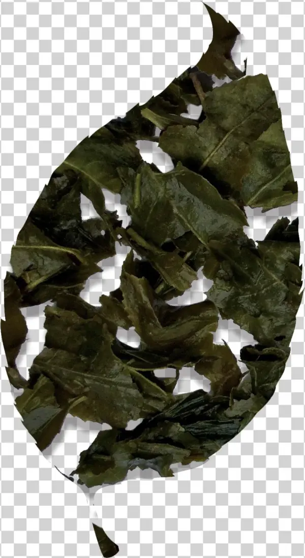Bancha Green Tea - Oak