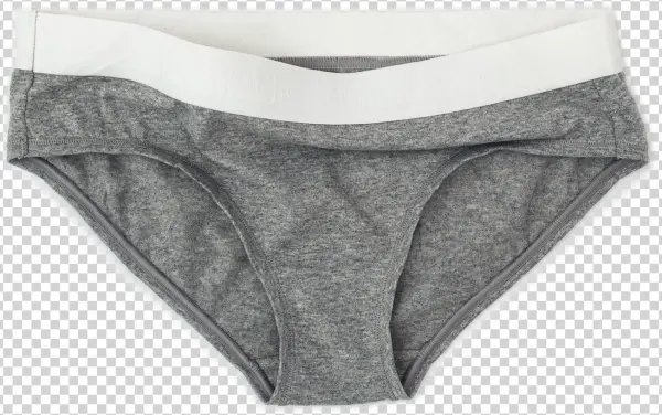 Bikini Bottoms - Grey - Underpants