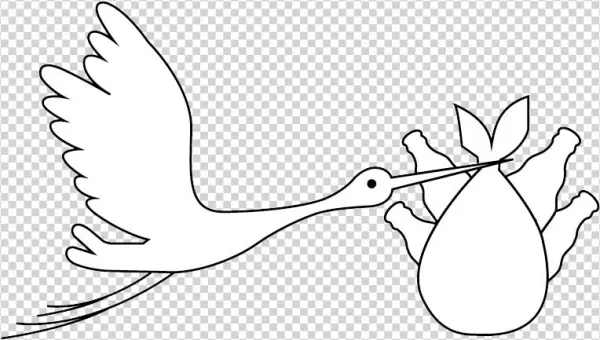 Bird - Illustration