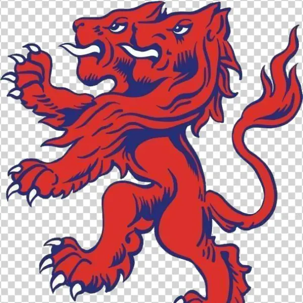 Birmingham Lions - Illustration