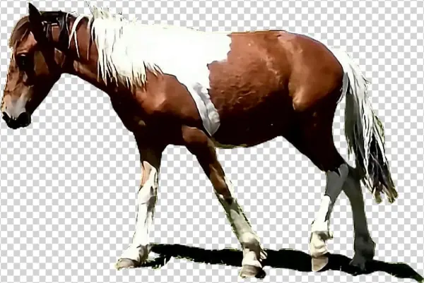 Caballo Sticker - Sorrel