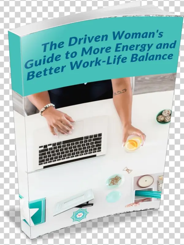 Driven Woman's Guide 3d Cover New