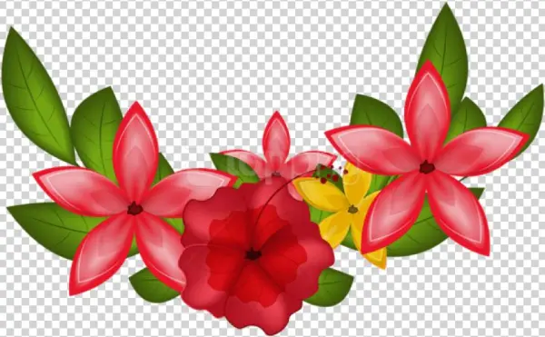 Free Png Download Exotic Floral Decoration Clipart - Impatiens