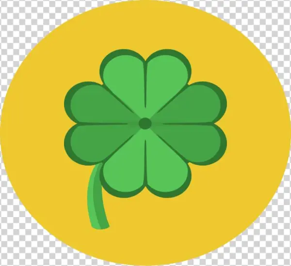 Home - Shamrock