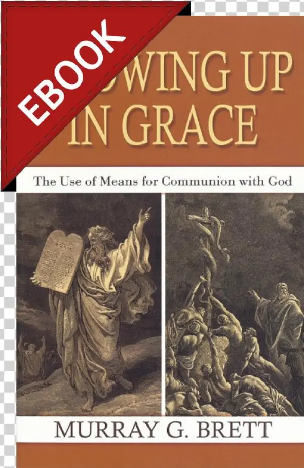 Image - Novel