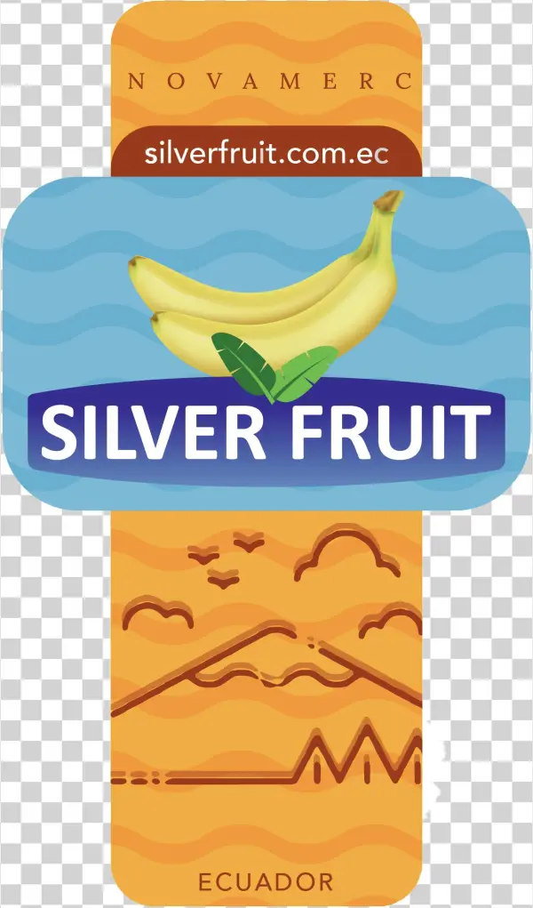 Imagen Png