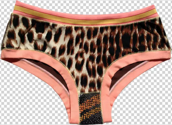 Knickers 01 Png - Underpants