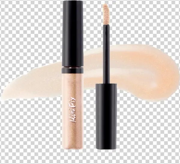 Makeup Brushes