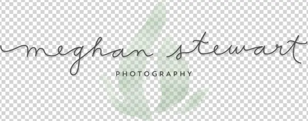 Meghan Stewart Photography - Calligraphy
