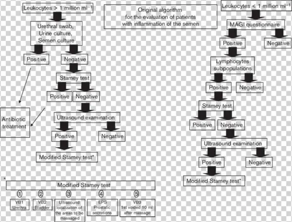 Original Algorithm For The Evaluation Of Patients With - Diagram