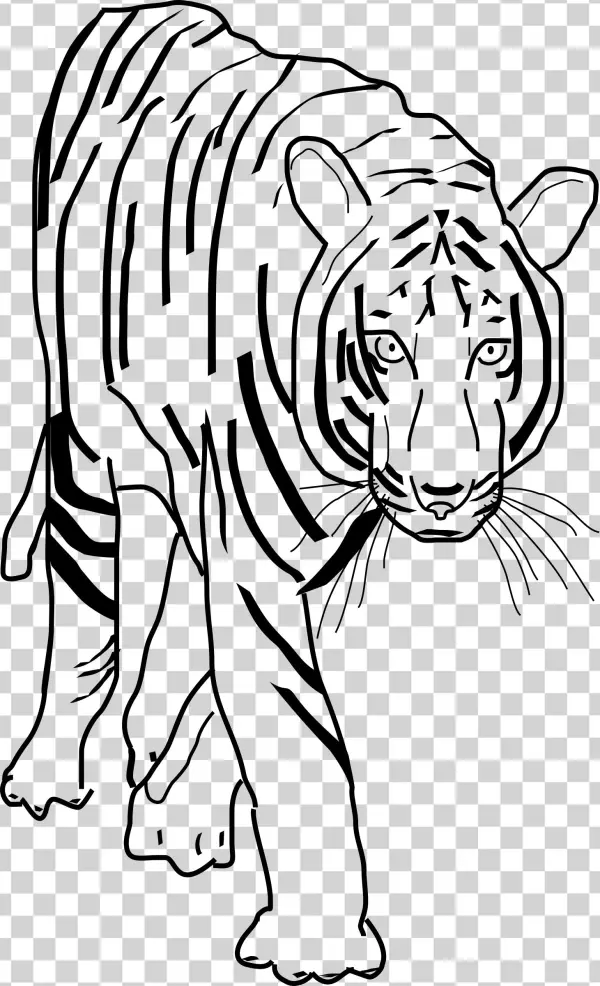 This Free Icons Png Design Of Tiger 2