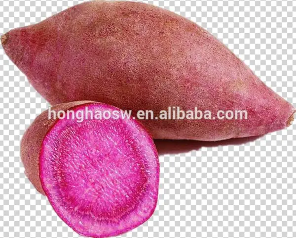 1 - 자색 고구마 Png