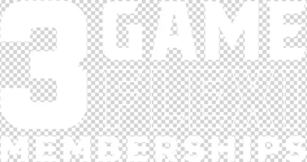 3 Game Flexi - Poster