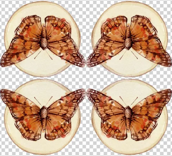 Borboletas Png