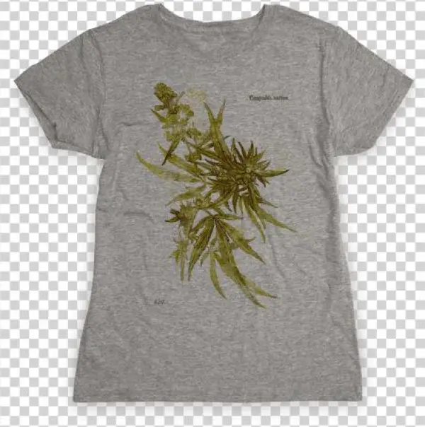 Cannabis Botanical Illustration Womens T-shirt - Came Out To Have A Good Time And I'm Honestly Feeling