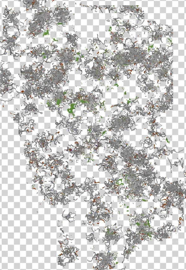 Cave - Insect
