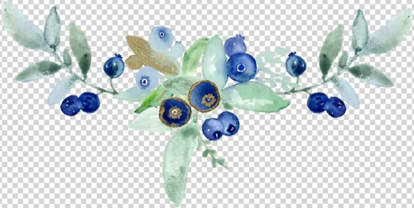 Compo Blueberry