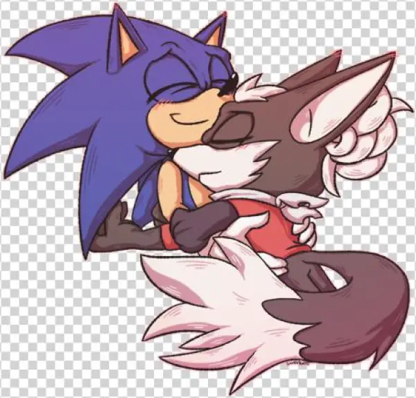 Drawn Hedgehog Gift - Sonfinite