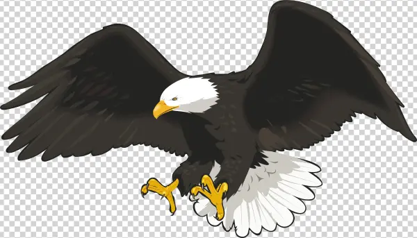 Eagle Png Png Clip Art Image
