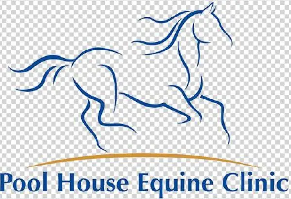 Equine Herpesvirus 1