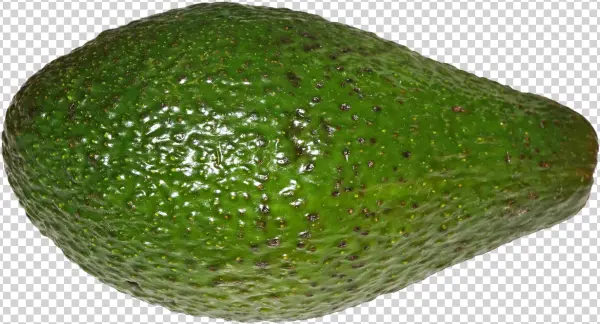 File - Avocado - Cempedak